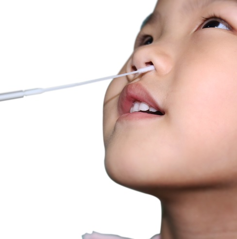 Swab - Sterile Nylon Flocked Nasal Swabs